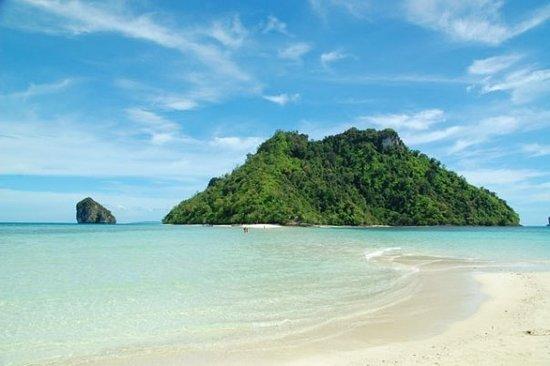 新媒体-课程测试3（勿删）